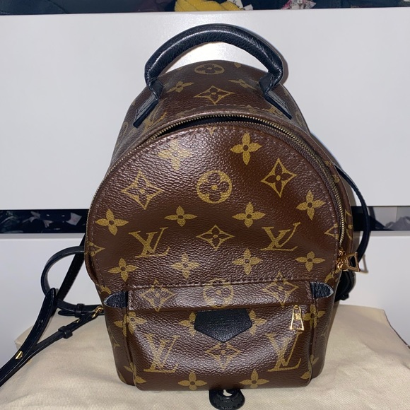 Louis Vuitton Palm Springs Mini - Picture 6 of 13